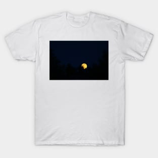 Blue Moon Rising 2016 T-Shirt